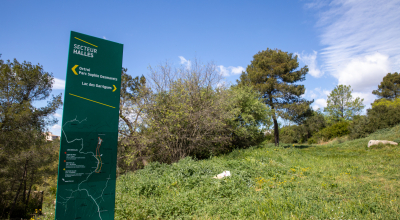 Balade Urbaine - Analyse Marchabilité - Haut de Massane - SEPTEMBRE 2023