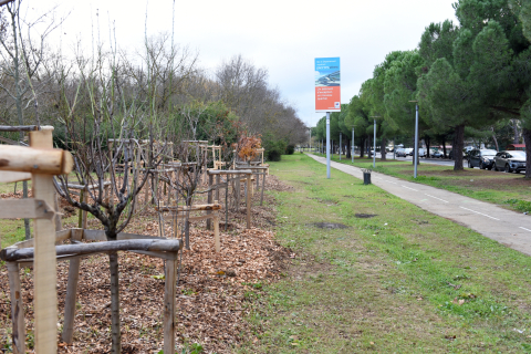 Temps de concertation - Espace RIEUTORD - NOVEMBRE 2023